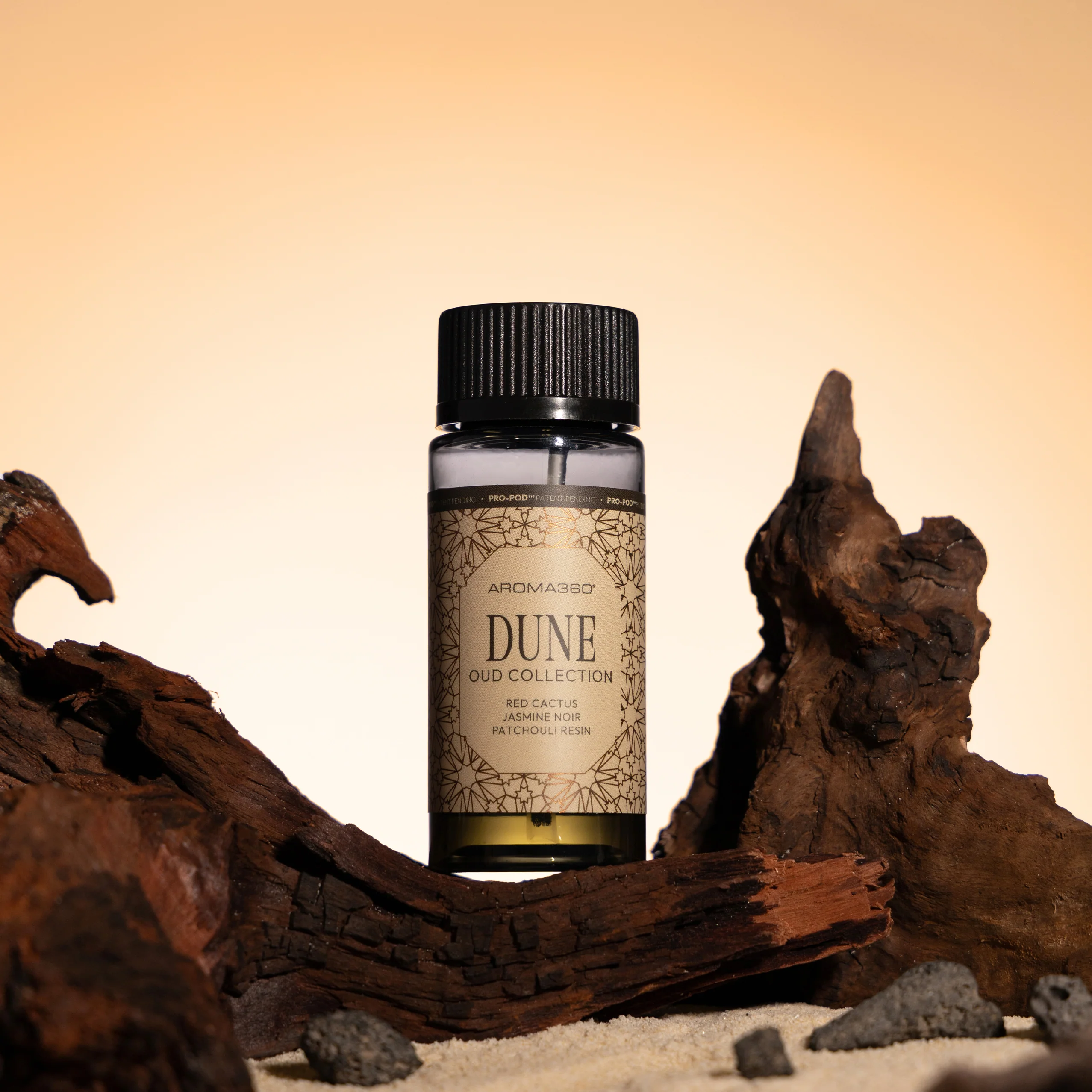 Dune - Image 5