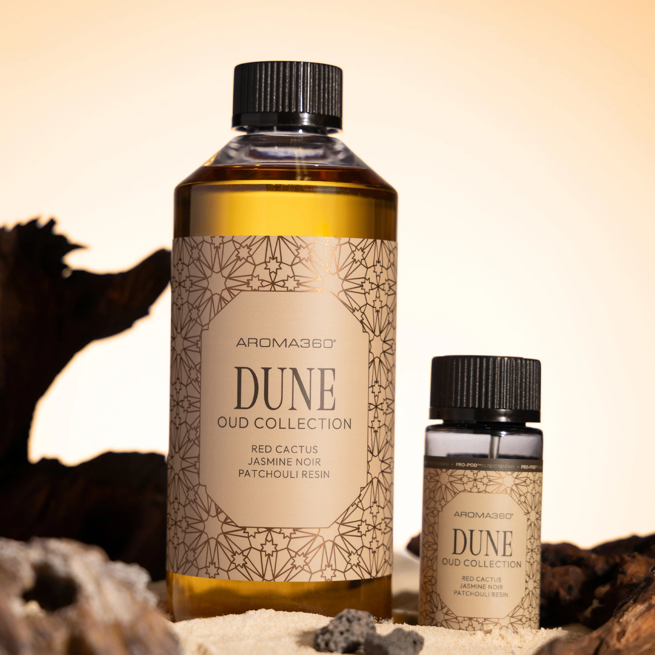 Dune - Image 6