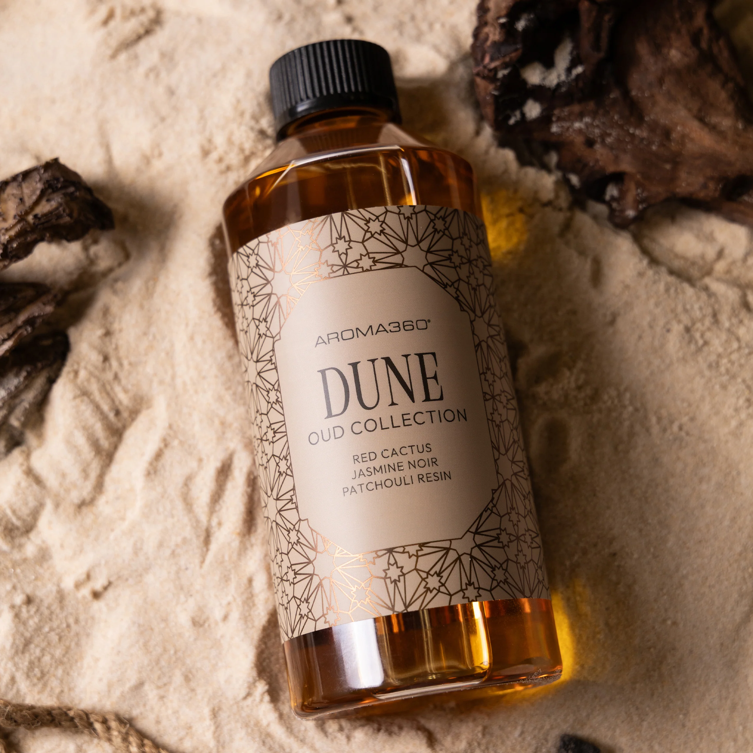 Dune - Image 7