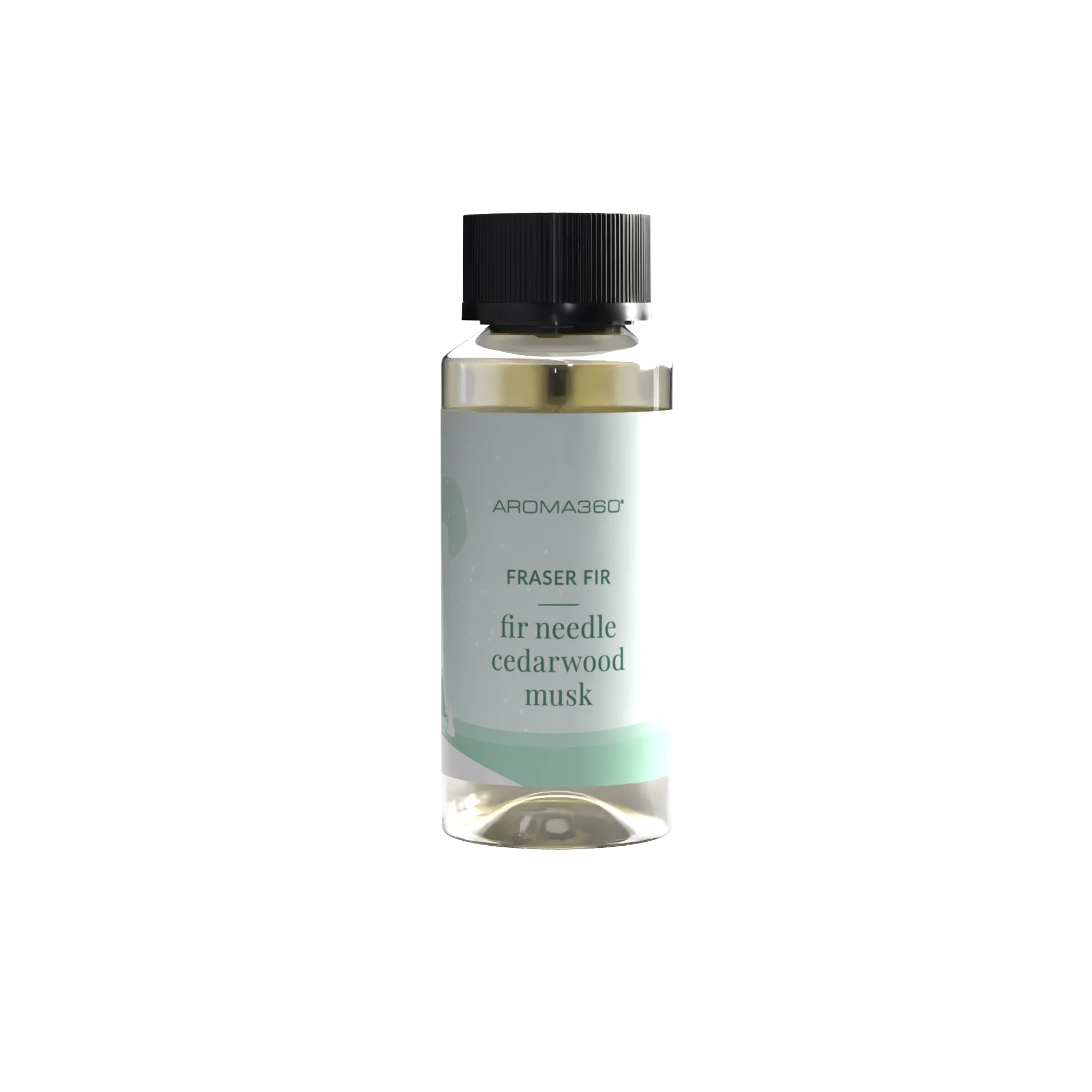 Fraser Fir - Image 4