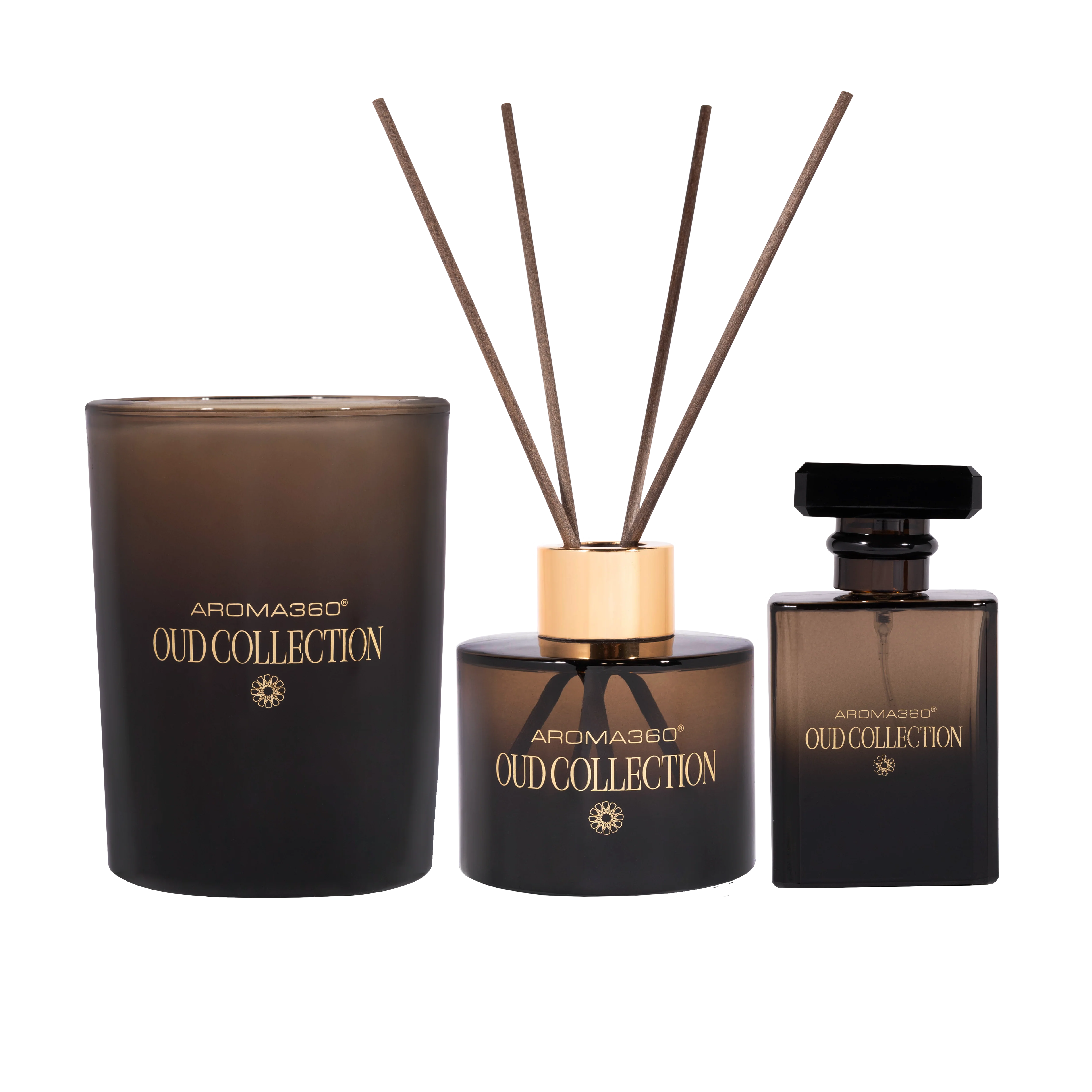 Oud Trio Collection