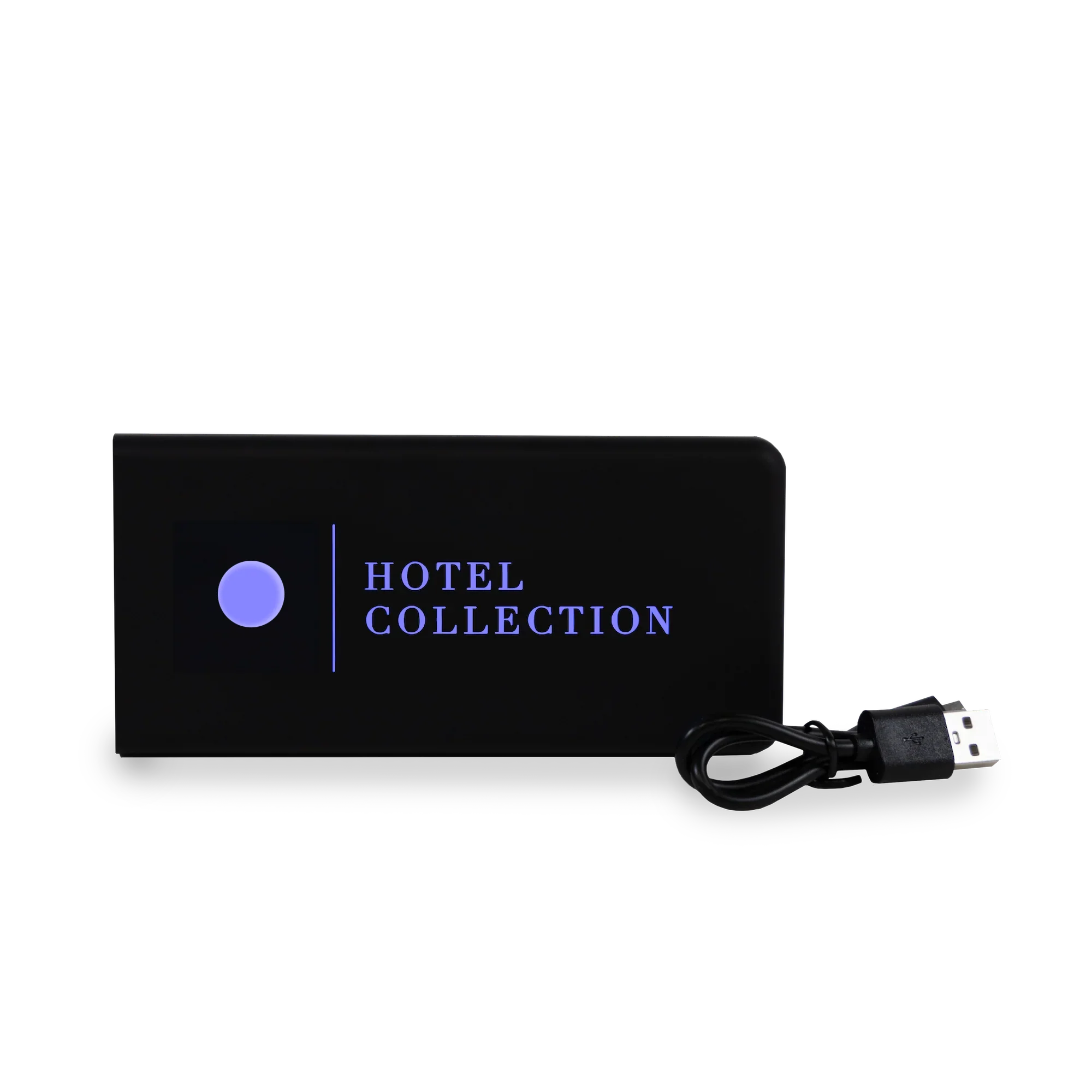 Portable USB Charger