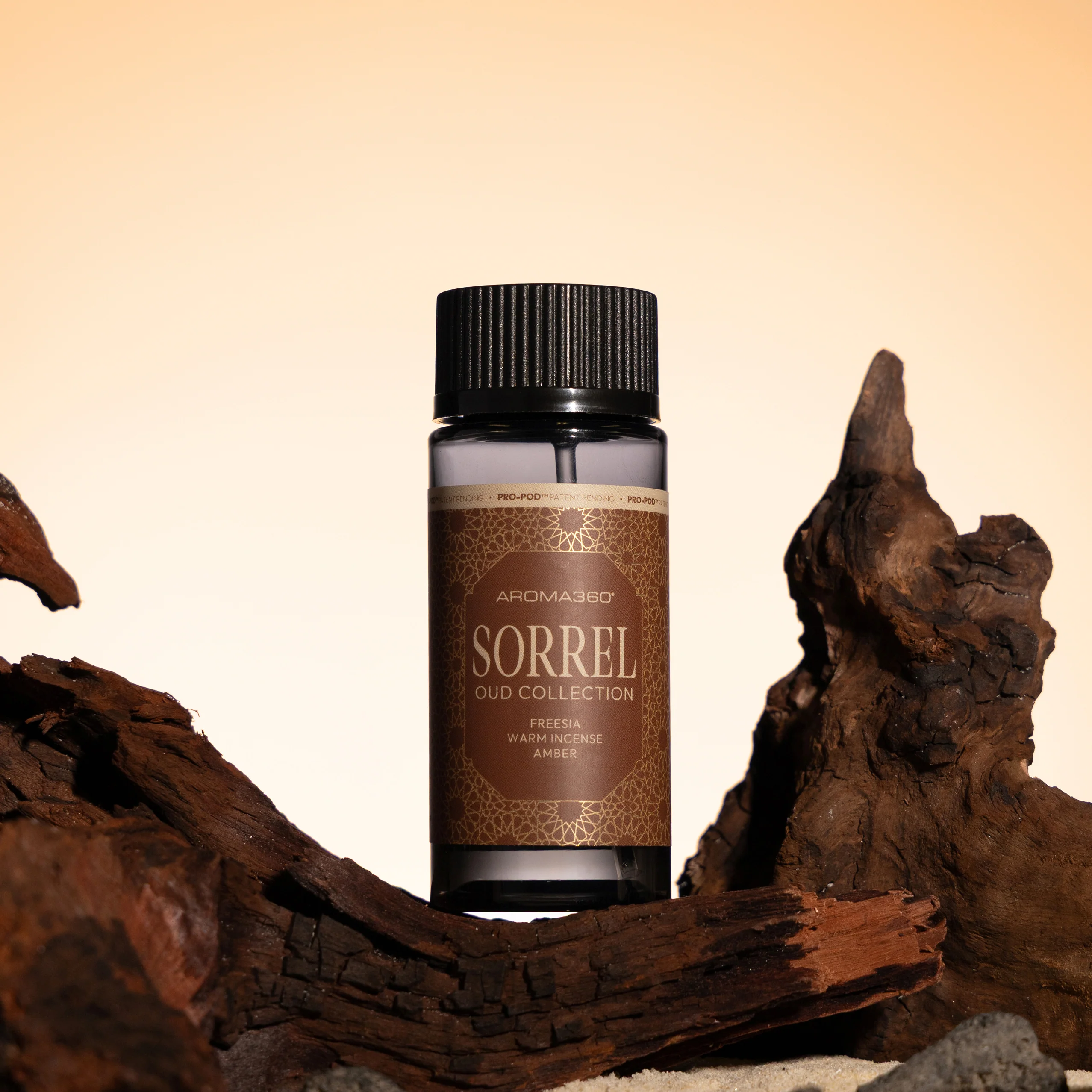 Sorrel - Image 6