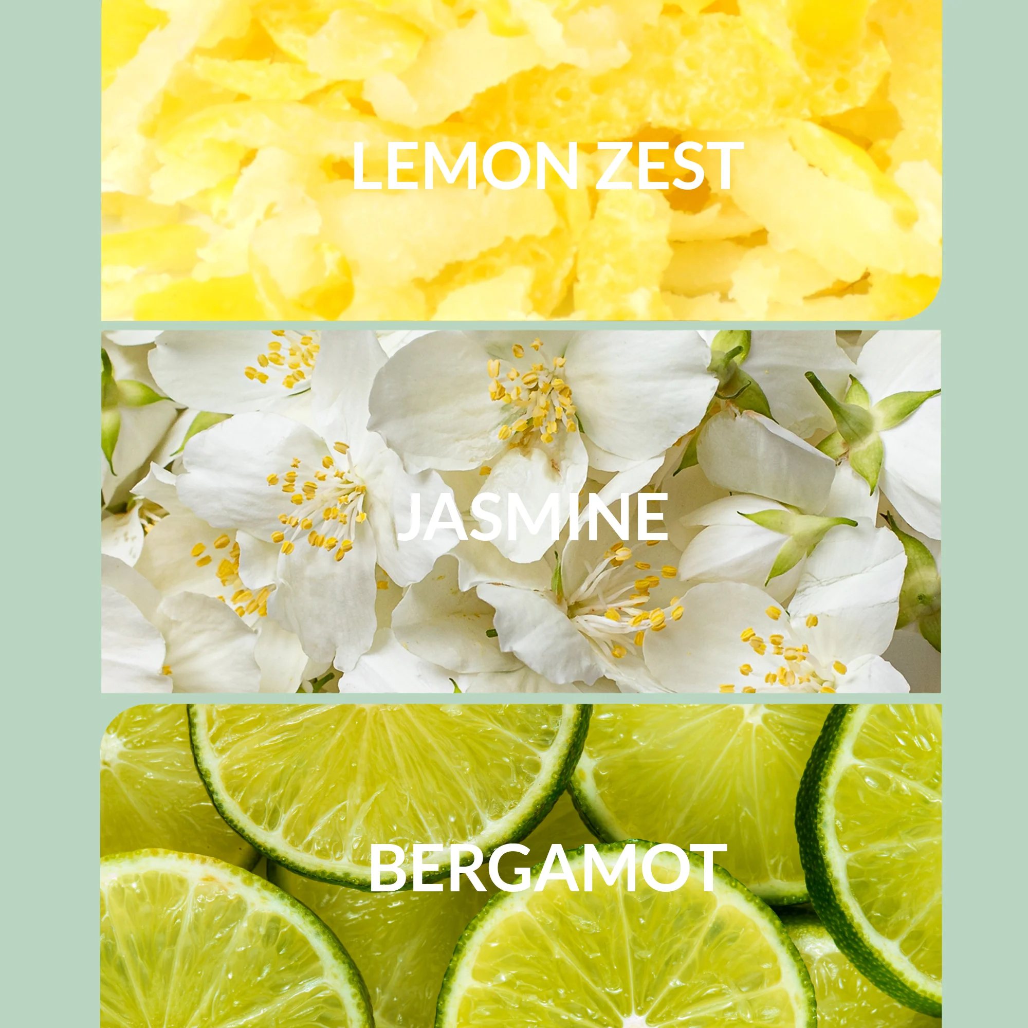 The Bliss - Image 2